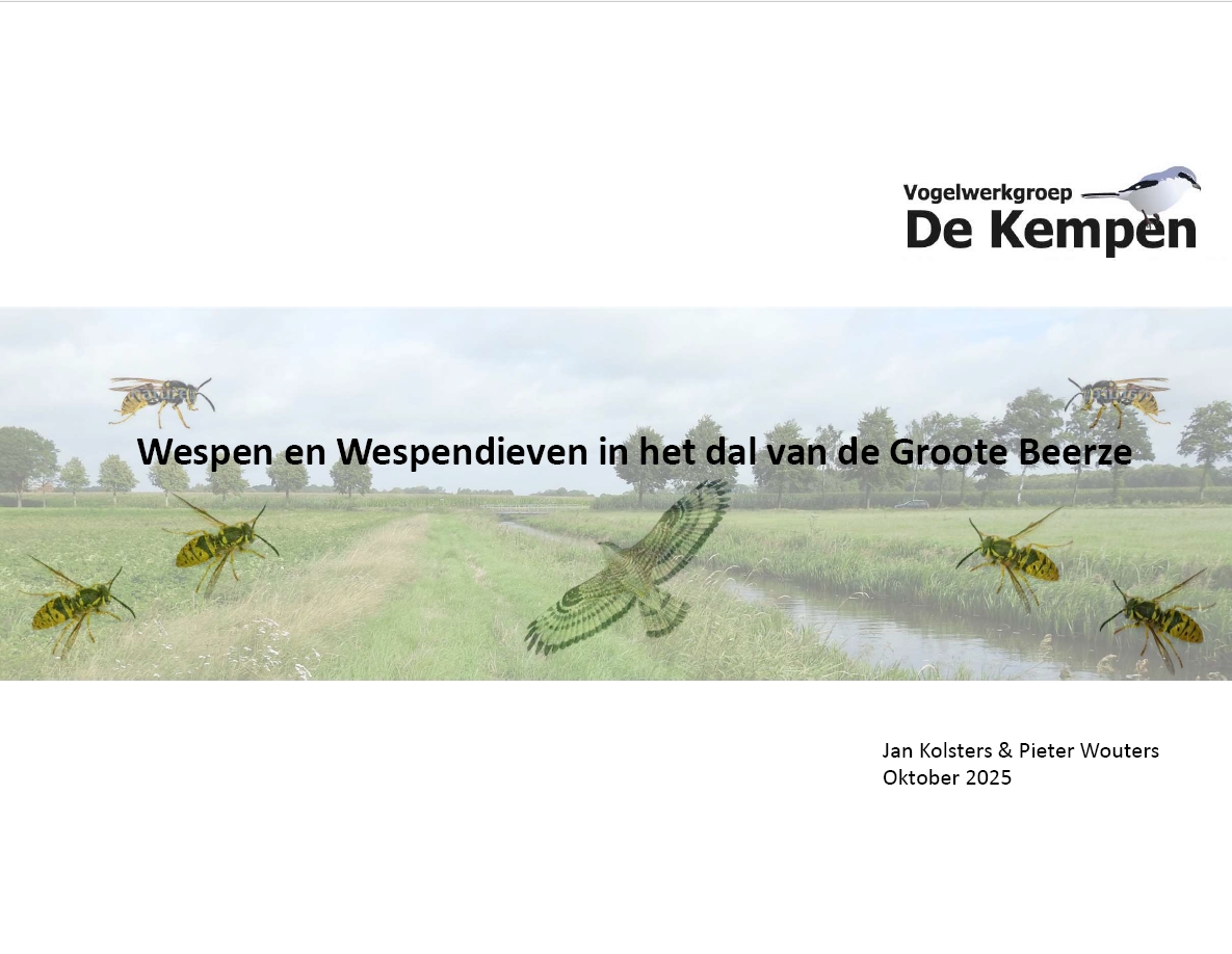 VWGK2025Vogels Kempen AfgelopenEeuw cover